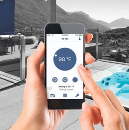 Гидромассажный спа-бассейн Wellis Vienna Life Premium Гидромассажный спа-бассейн Wellis Vienna Life Premium