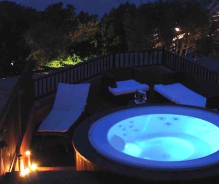 Спа бассейн Jacuzzi Alimia Professional